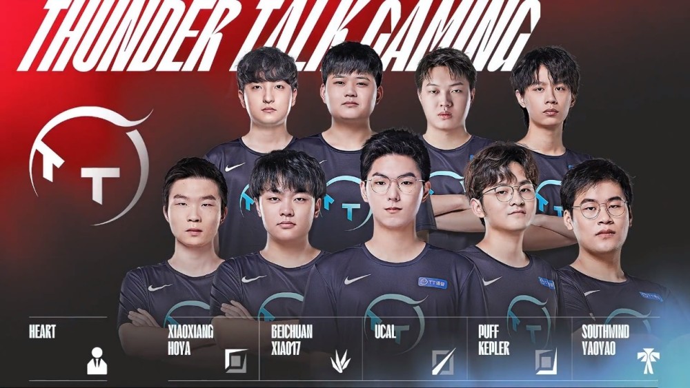 心血管系统 心血管系统