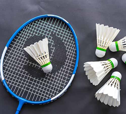 教练团队的 教练团队的